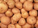 picture of potato